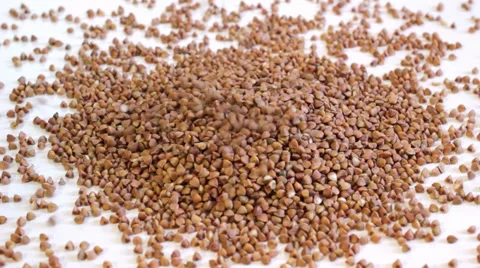 Buckwheat fray Stock Footage 48269138