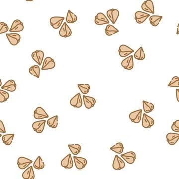 Buckwheat grain healthy vector seamless pattern Stock Illustration