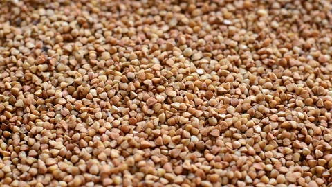 Buckwheat grain textured background slow review close-up Stock Footage 102676032