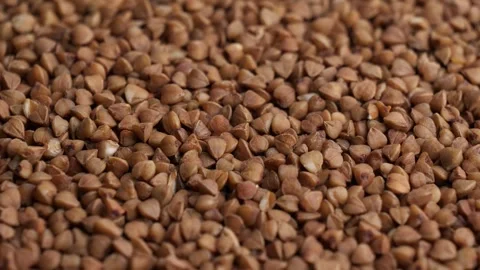 Buckwheat groats Stock Footage 252985964