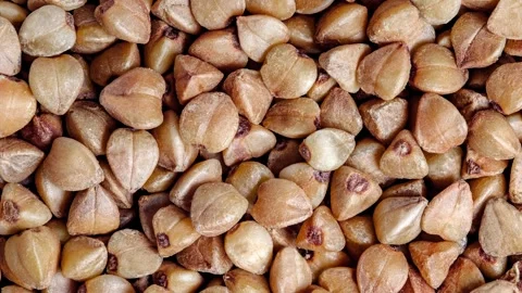 Buckwheat; groats; raw; bunch; bulk; close-up; macro; view Stock Footage 240641500
