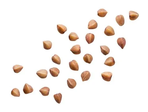 Buckwheat groats set on a white background. Isolated Stock Photos