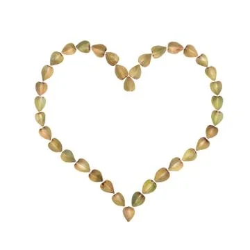 Buckwheat in heart shape Stock Photos