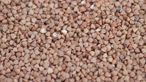 Buckwheat kernels closeup, Close view of organic buckwheat kernels with fine gra Stock Footage 325648760