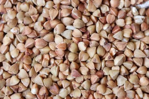 Buckwheat. macro. Stock Photos