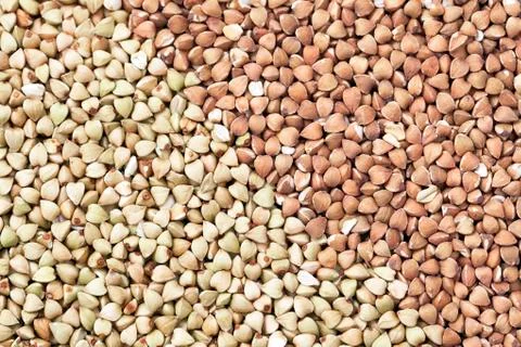 Buckwheat Stock Photos