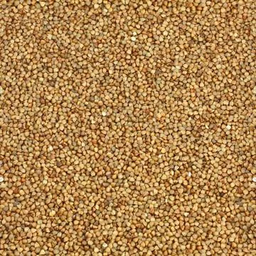 Buckwheat Stock Photos