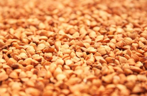 Buckwheat Stock Photos