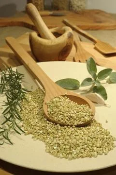 Buckwheat 写真素材