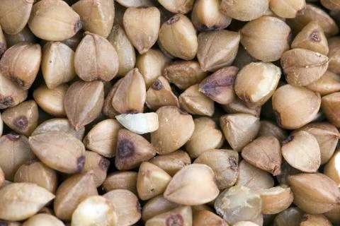 Buckwheat Stock Photos