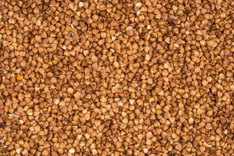 Buckwheat Stock Photos
