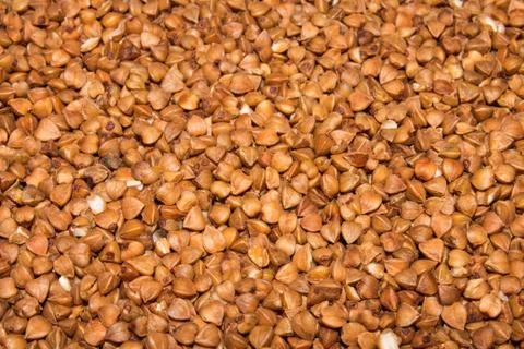 Buckwheat. Stock Photos