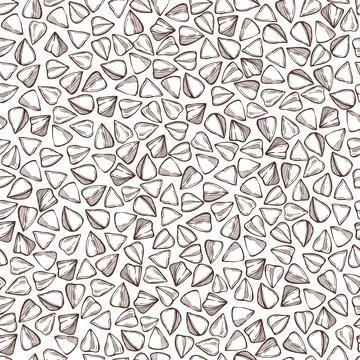 Buckwheat plant. Vector pattern. 스톡 일러스트