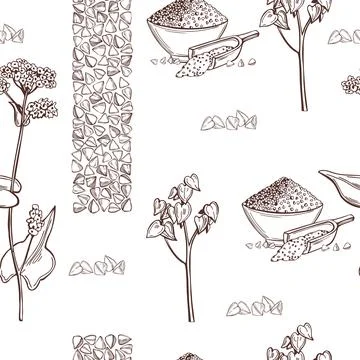 Buckwheat plant. Vector pattern. Stock Illustration