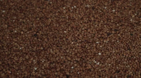 Buckwheat rotating Stock Footage 33687617