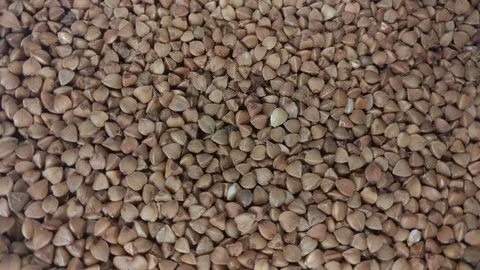 Buckwheat rotating Stock Footage 76121690