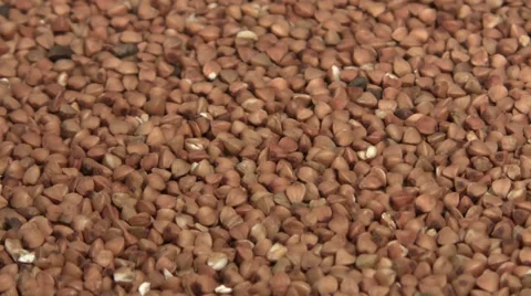 Buckwheat rotating macro Stock Footage 33716990