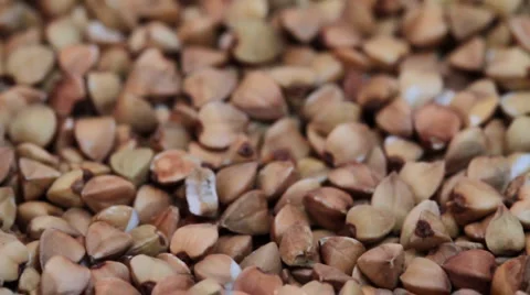 Buckwheat. slider shot. Stock Footage 1958216