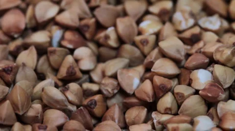 Buckwheat. slider shot. 動画素材 1963904