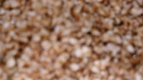 Buckwheat On A Stewpot Close Up Stock Footage 72165135