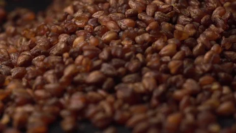 Buckwheat tea lies on a black table on black background. Beautiful view of Video stock 127004465