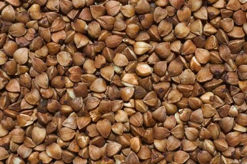 Buckwheat texture close-up. Stock Photos