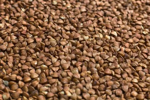 Buckwheat texture close up Stock Photos