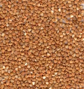 Buckwheat texture Foto stock