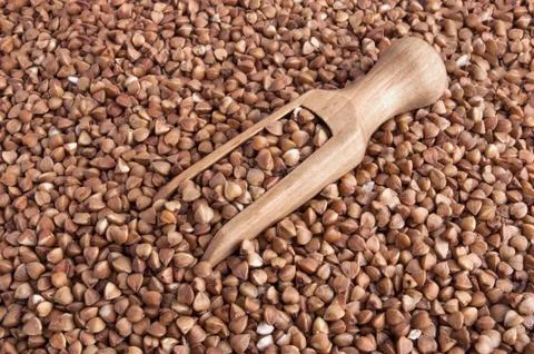 Buckwheat texture Stock Photos