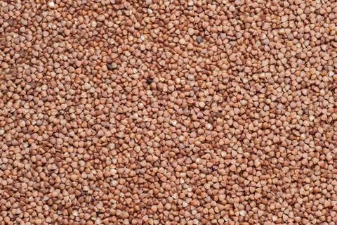 Buckwheat texture Stock Photos