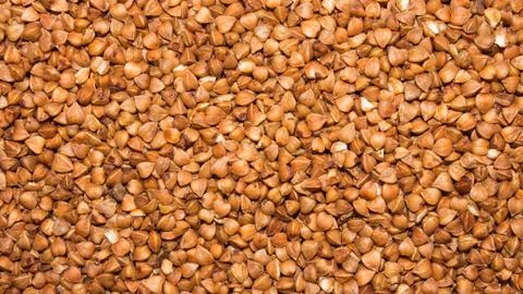 Buckwheat.Background of buckwheat. Stock Photos