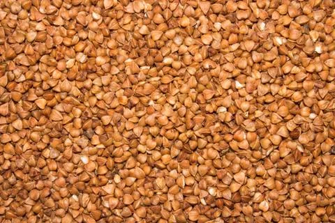 Buckwheat.Background of buckwheat. Stock Photos