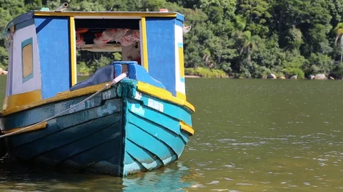 Bucolic color boat Stock Footage 100667100