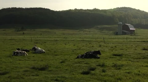 Bucolic farm scene Stock Footage 7745963