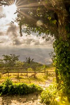 Bucolic landscape Stock Photos