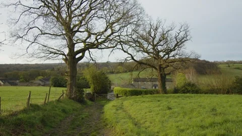 Bucolic path surrounded by green fields in a typical village, Yorkshire, England Stock Footage 291870897
