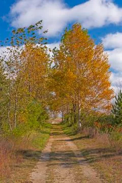 Bucolic Road in the Fall Stockfoto's