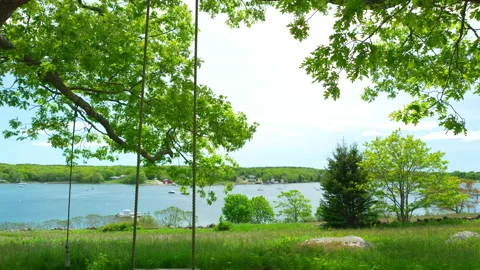 Bucolic tilt shot of scene of tree swing overlooking stunning Maine harbor. Stock Footage 144415210