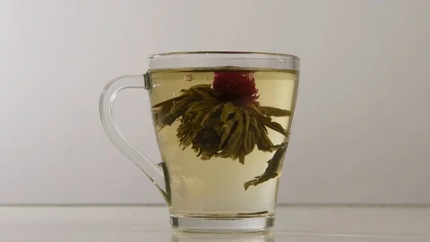 The Bud of bound Chinese fragrant tea opens in a transparent mug. Stock Footage 120942775