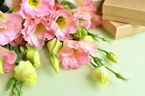 The bud of the eustoma flower. Close-up, soft focus Stock Photos