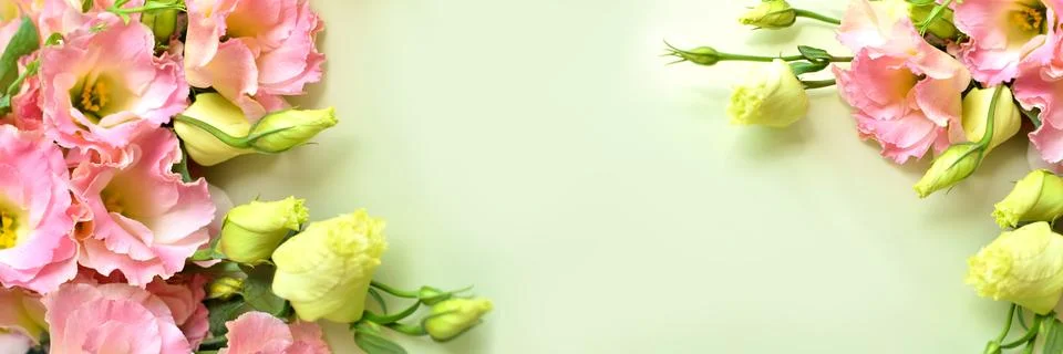 The bud of the eustoma flower. Close-up, soft focus. Banner Foto stock
