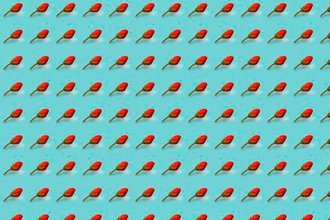 The bud grows 2 Stock Illustration