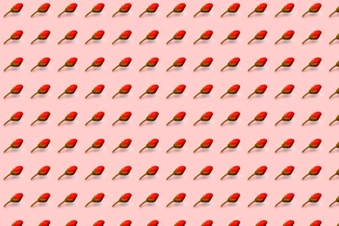 The bud grows Stock Illustration