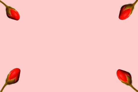 Bud of love 2 Stock Illustration