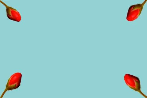 Bud of love Stock Illustration