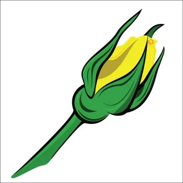 Bud Roses Stock Illustration