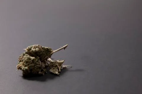 A bud of weed Stock-Fotos