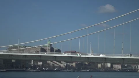 Buda Castle Behind Elisabeth Bridge Over the Danube River in Budapest Stock Footage 336062768