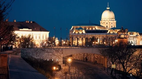 Buda castle with hungarian flags and statue at late evening Video stock 74228325