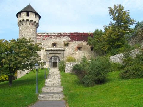Buda castle Stock Photos